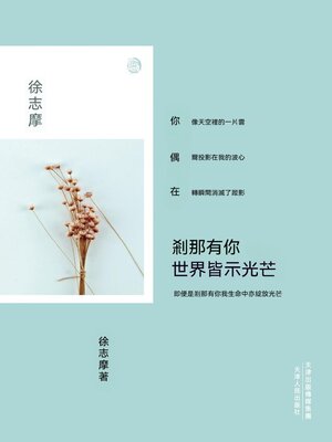 cover image of 刹那有你，世界皆示光芒